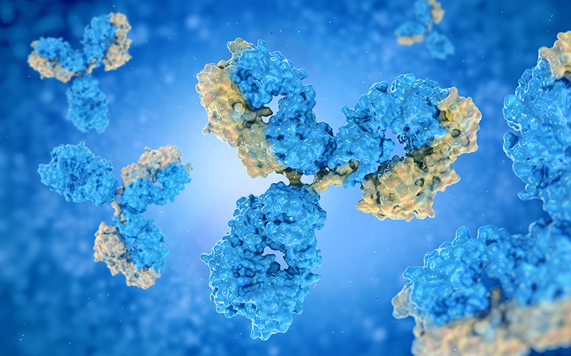 藥物安全性評(píng)價(jià)服務(wù)